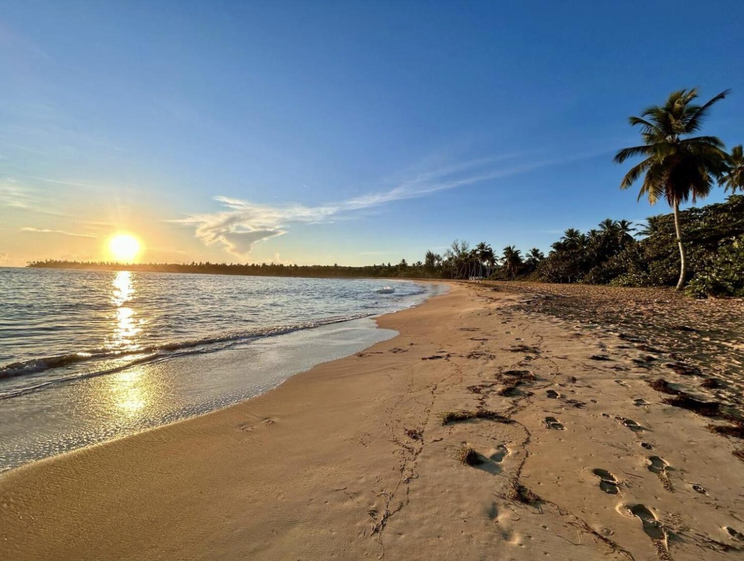 Luxury 2 Bedroom Apt, 1 Min Walk To Punta Popy Beach, Pool, Ac, Fast Wifi, In Las Terrenas Exterior foto