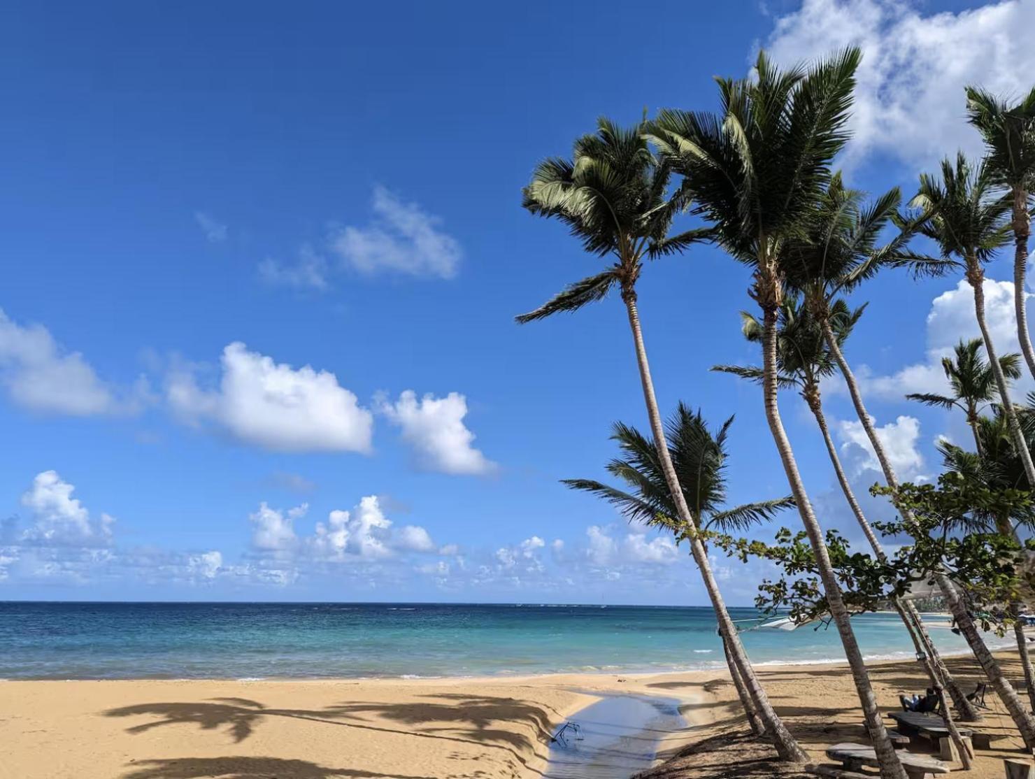 Luxury 2 Bedroom Apt, 1 Min Walk To Punta Popy Beach, Pool, Ac, Fast Wifi, In Las Terrenas Exterior foto